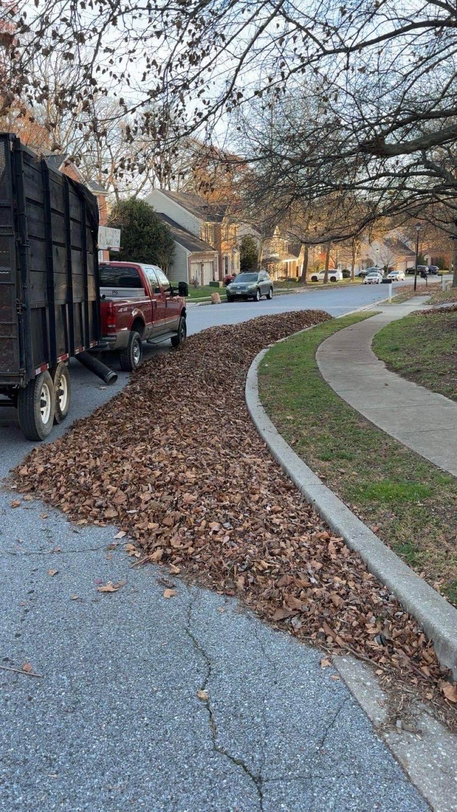 Fall Cleanup Checklist for Bel Air, MD Homeowners
